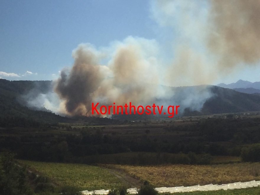 Πυρκαγιά σε δασική έκταση στο Καίσαρι Κορινθίας - Βίντεο