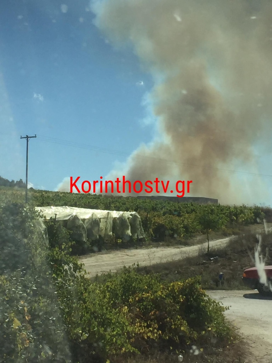 Πυρκαγιά σε δασική έκταση στο Καίσαρι Κορινθίας - Βίντεο