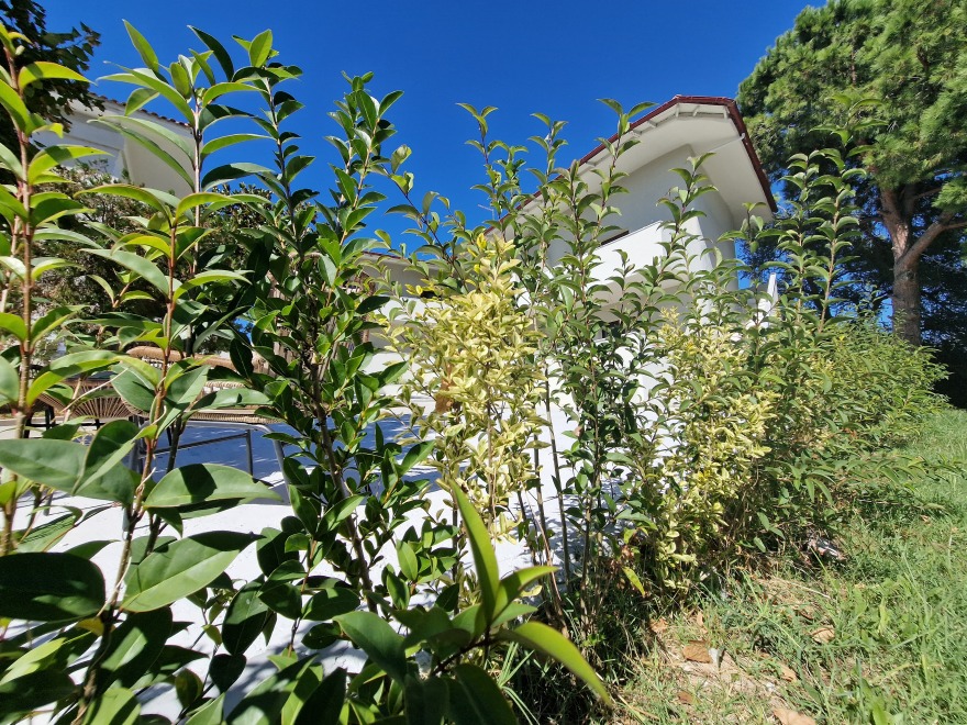 Χαλκιδική: Έτσι ανακάλυψε το ζευγάρι την κρυφή κάμερα στο δωμάτιο του ξενοδοχείου