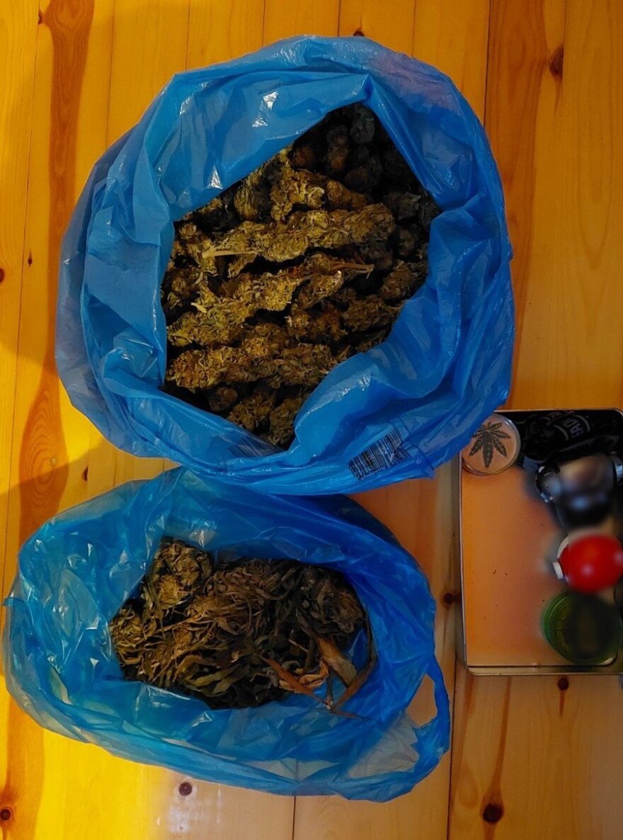 Καβάλα: Αστυνομικοί έπιασαν επ’ αυτοφώρω καλλιεργητές - Είχαν φυτεία με 187 δενδρύλλια κάνναβης