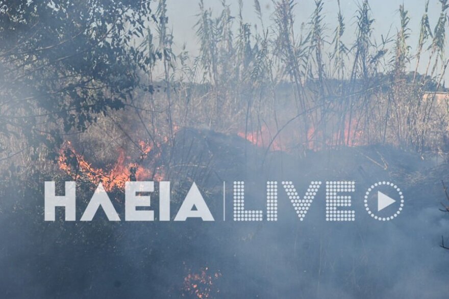 Συναγερμός για φωτιά στο Καβούρι Ηλείας - Κοντά σε σπίτια οι φλόγες 