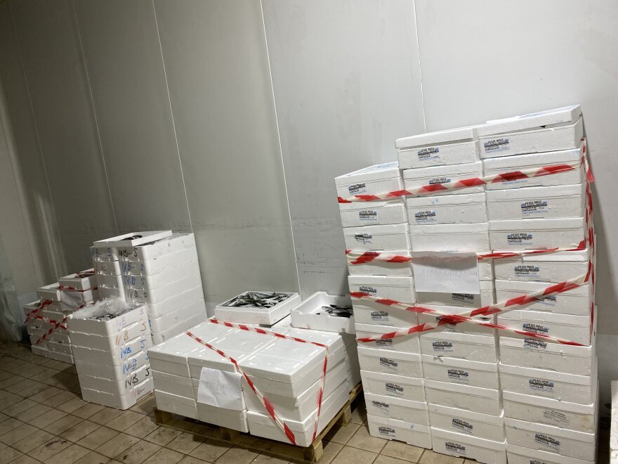 Θεσσαλονίκη: Κατασχέθηκαν 621 κιλά ψαριών στην ιχθυόσκαλα της Νέας Μηχανιώνας