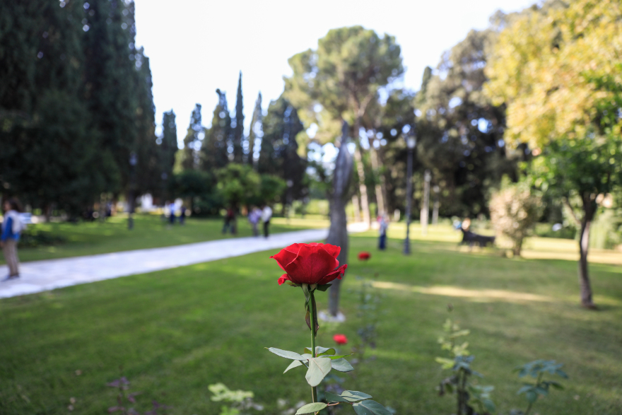 Προεδρικό Μέγαρο: Παρουσία Σακελλαροπούλου και με μεγάλη προσέλευση άνοιξε και πάλι ο κήπος