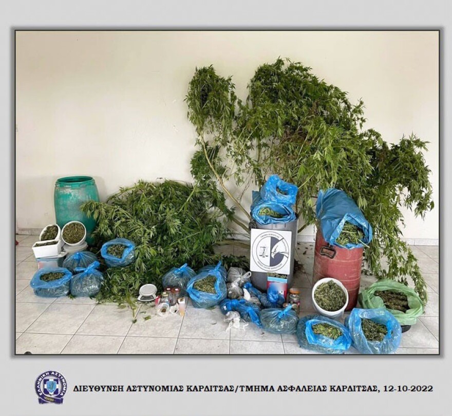 Καρδίτσα: Βρέθηκαν βαρέλια με 12 κιλά κάνναβης και χασισόδεντρα σε θερμοκήπιο