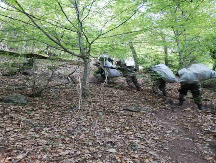 Τεράστια χασισοφυτεία με 635 δενδρύλλια κάνναβης εντοπίστηκε στη Λάρισα