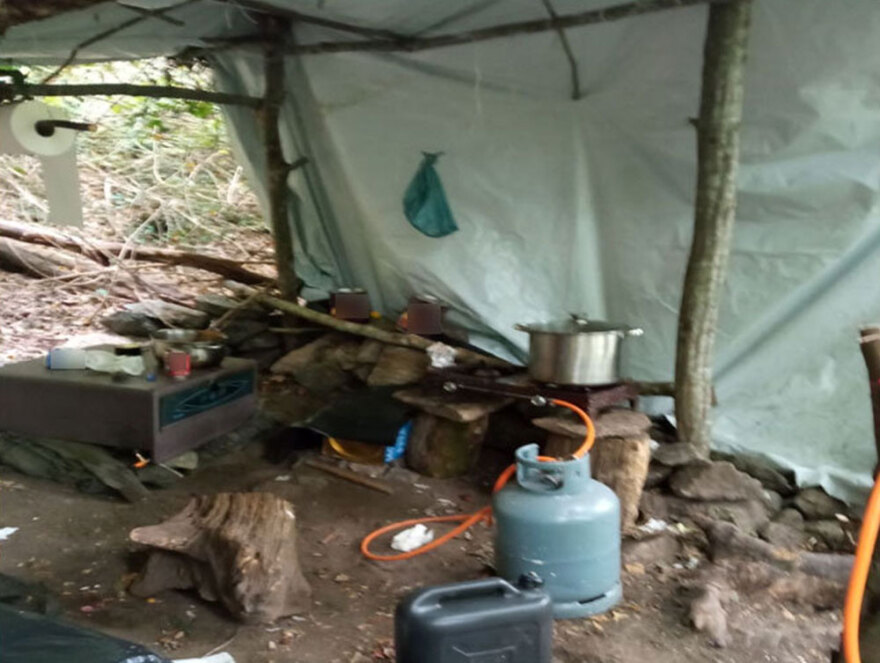 Τεράστια χασισοφυτεία με 635 δενδρύλλια κάνναβης εντοπίστηκε στη Λάρισα