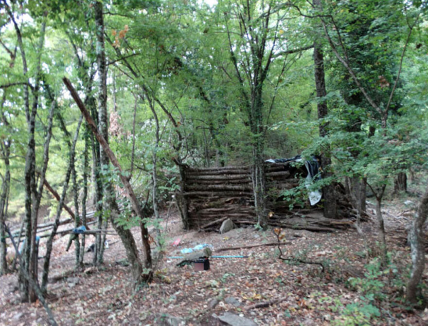 Τεράστια χασισοφυτεία με 635 δενδρύλλια κάνναβης εντοπίστηκε στη Λάρισα