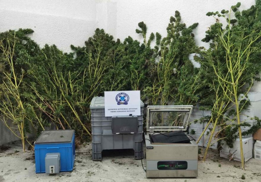 Αργολίδα: Αστυνομικός σε σπείρα διακίνησης κάνναβης με όπλα και εκρηκτικά