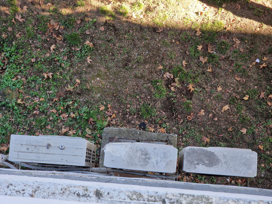 Πτώση 19χρονου στο ΑΠΘ: «Ήταν σωριασμένος και μας έλεγε "καλέστε ασθενοφόρο"», λένε συμφοιτητές του