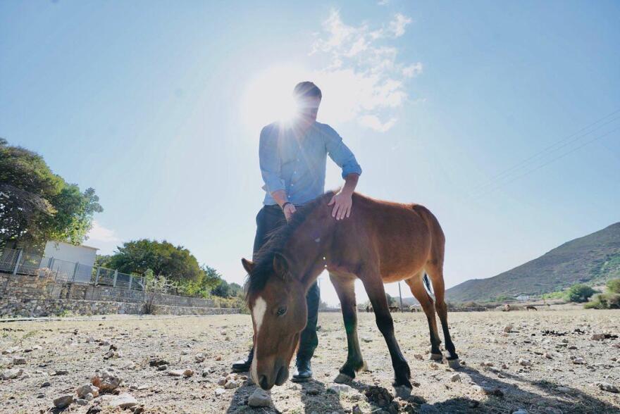 Κικίλιας: «Διασώζουμε το Σκυριανό Άλογο, προστατευτούμε και αναδεικνύουμε την πολιτιστική κληρονομιά»