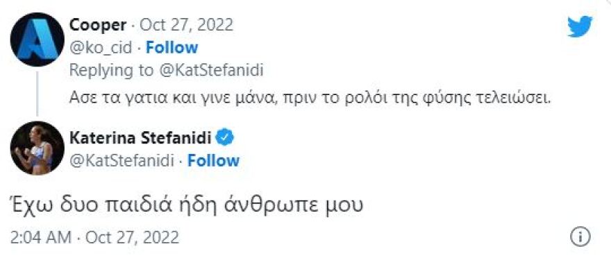 Κατερίνα Στεφανίδη: «Υιοθετήστε ένα αδεσποτάκι» - «Άσε τα γατιά και γίνε μάνα» της έγραψαν στο Twitter