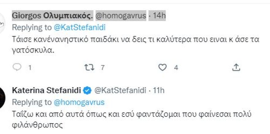 Κατερίνα Στεφανίδη: «Υιοθετήστε ένα αδεσποτάκι» - «Άσε τα γατιά και γίνε μάνα» της έγραψαν στο Twitter