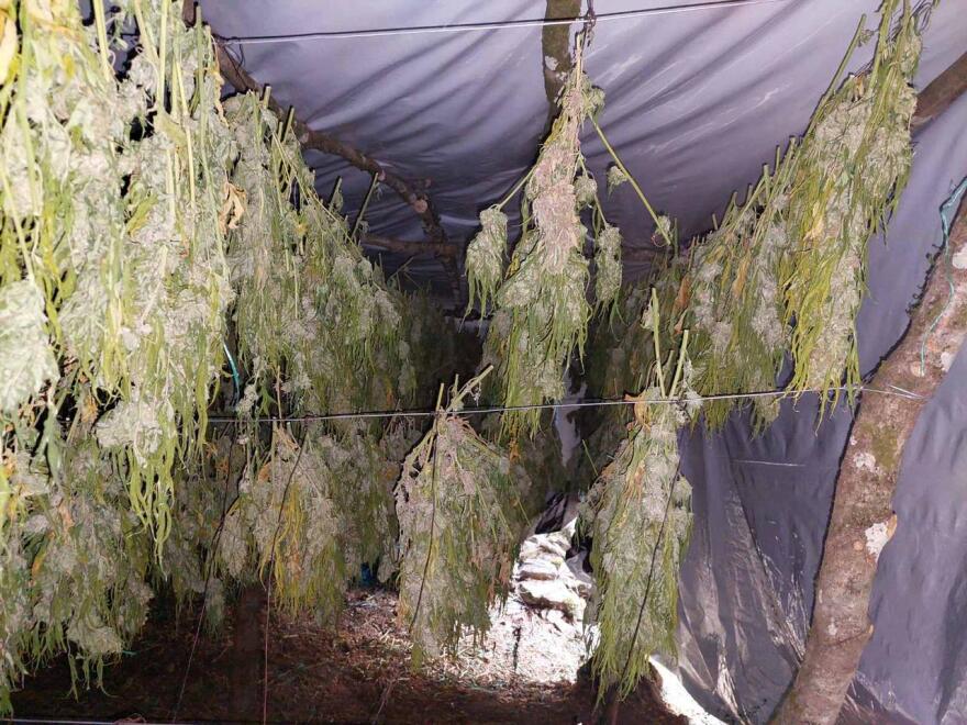 «Ξήλωσαν» καρτέλ ναρκωτικών, κατέσχεσαν έναν τόνο χασίς - Δείτε φωτογραφίες