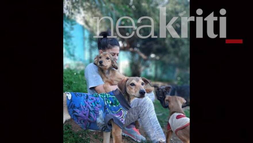 Κρήτη: Έξωση σε εκατοντάδες αδέσποτα στη Χερσόνησο - Κλείνει το μοναδικό καταφύγιο