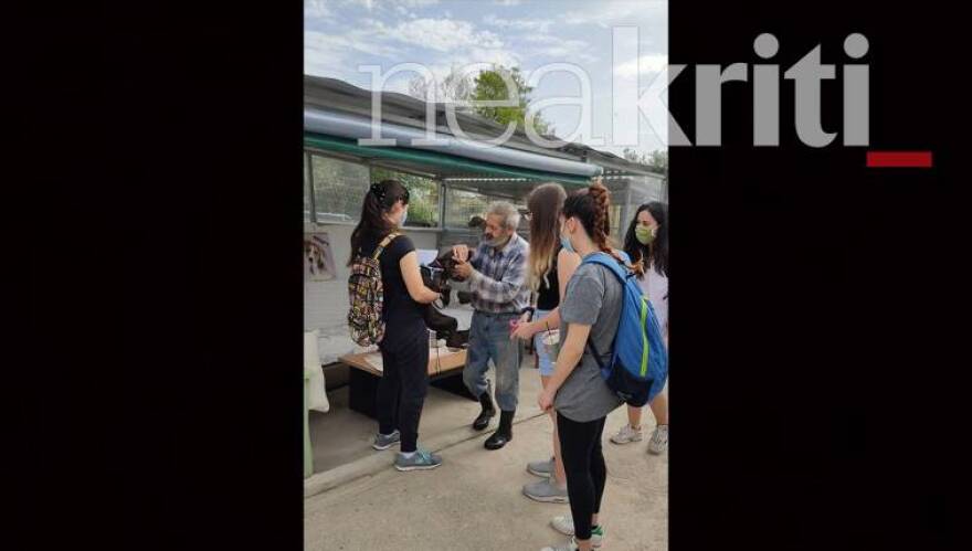 Κρήτη: Έξωση σε εκατοντάδες αδέσποτα στη Χερσόνησο - Κλείνει το μοναδικό καταφύγιο