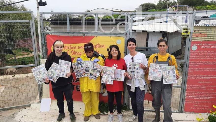 Κρήτη: Έξωση σε εκατοντάδες αδέσποτα στη Χερσόνησο - Κλείνει το μοναδικό καταφύγιο