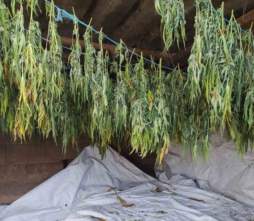 Μεσολόγγι: Πατέρας και γιος συνελήφθησαν με 18 κιλά κάνναβης