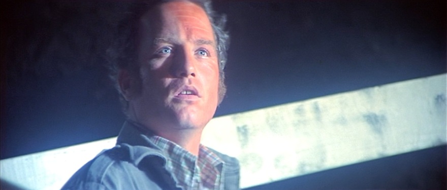 Ρίτσαρντ Ντρέιφους: Η άνοδος και η πτώση του εμβληματικού ηθοποιού των '70ς