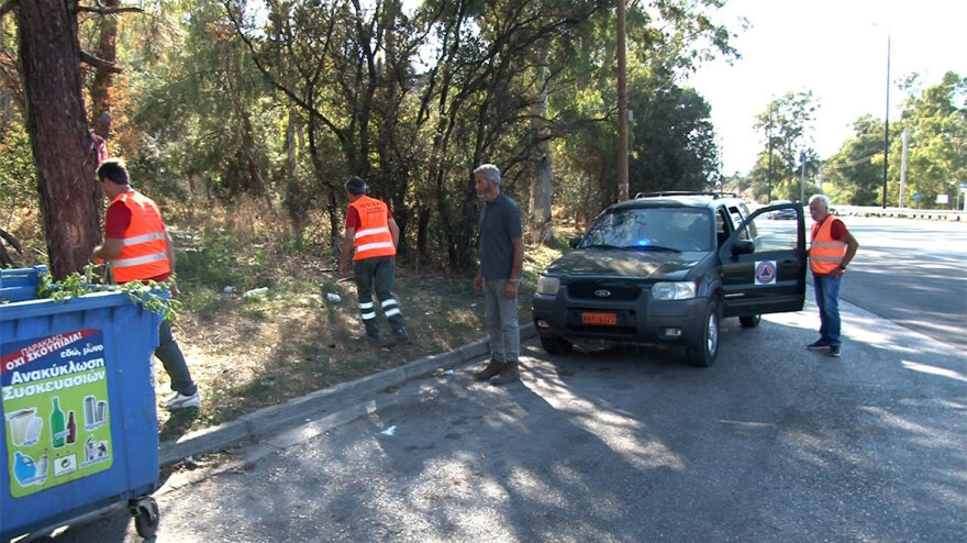 Αλλεπάλληλες επιχειρήσεις «σύλληψης» αγριόχοιρων στους δρόμους της Δυτικής Αττικής