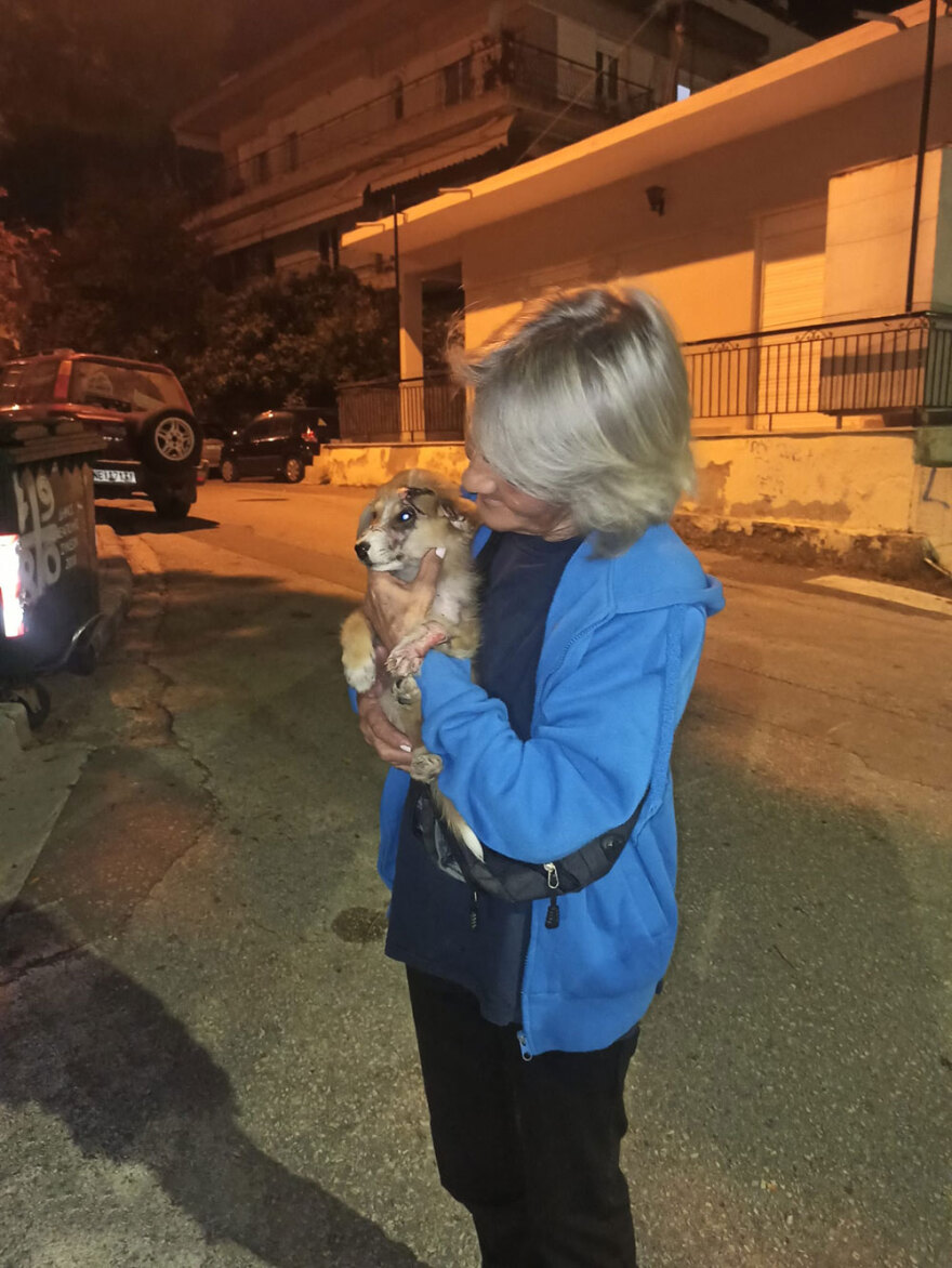 Θεσσαλονίκη: Προκάλεσε εγκαύματα σε κουτάβι και έλεγε «μη στεναχωριέστε, του ρίχνω λεμόνι»