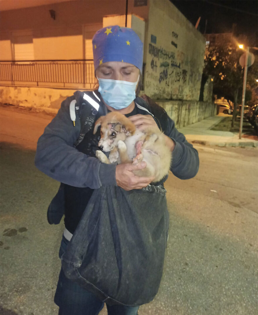 Θεσσαλονίκη: Προκάλεσε εγκαύματα σε κουτάβι και έλεγε «μη στεναχωριέστε, του ρίχνω λεμόνι»