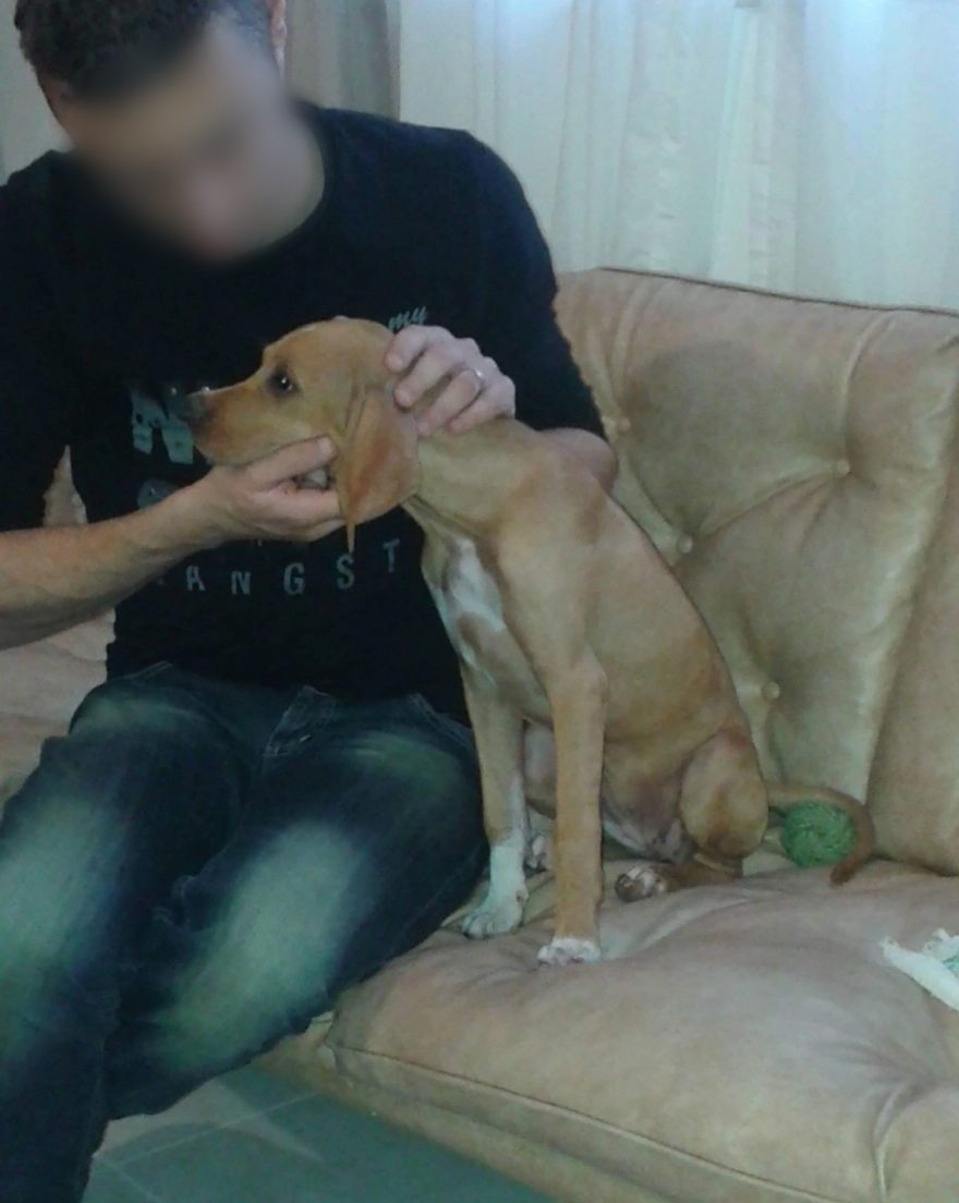 Βιασμός 12χρονης: Αγαπά τα σκυλιά και τα όπλα - Το προφίλ του 39χρονου που συνελήφθη 