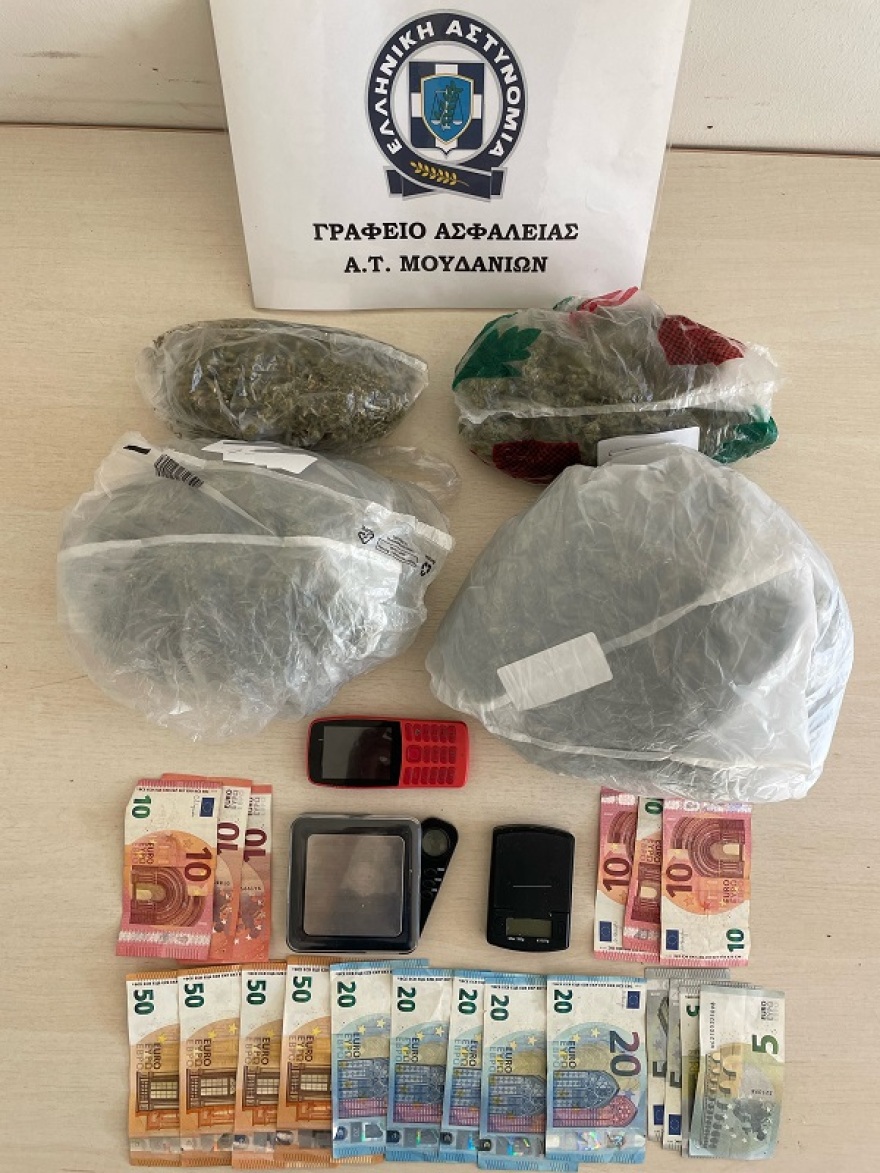 Κιλκίς: Θηριώδη χασισόδεντρα απέδωσαν τεσσεράμισι κιλά κάνναβης