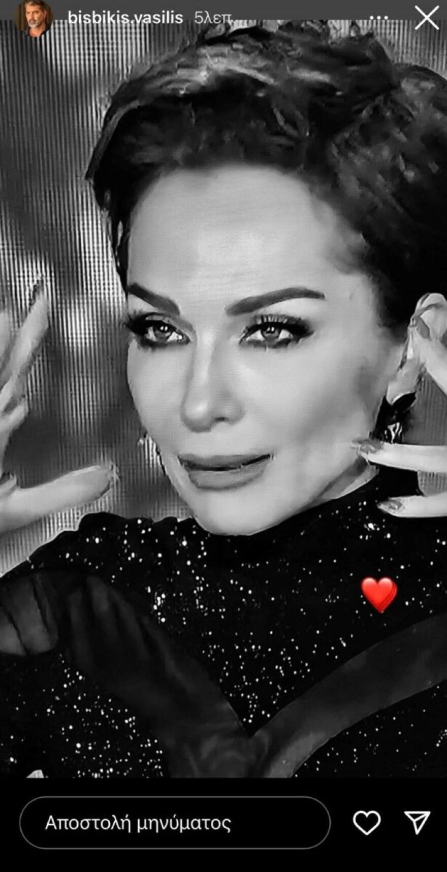 Βασίλης Μπισμπίκης: Η ανάρτηση για την ανατρεπτική εμφάνιση της Δέσποινας Βανδή 