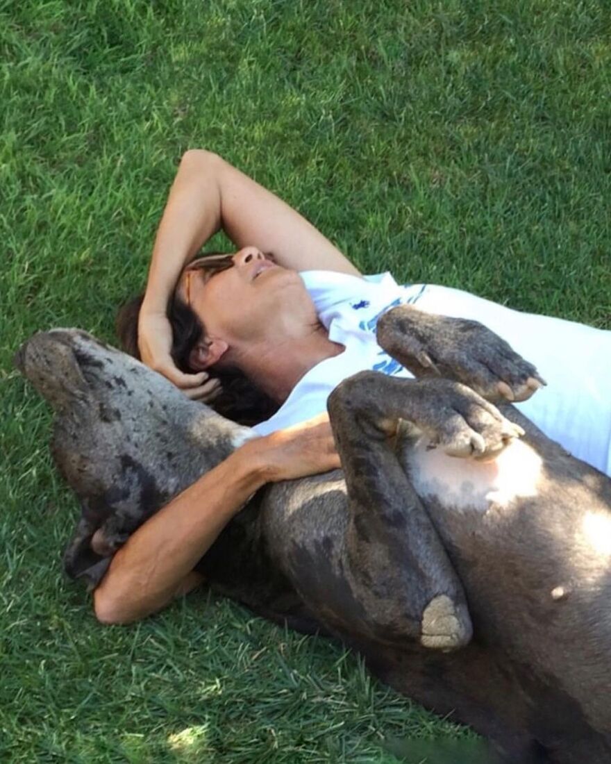 Άλκηστις Πρωτοψάλτη: Η συγκινητική ανάρτηση για το σκυλάκι της που πέθανε