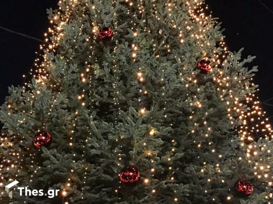 Χαλκιδική: Φωταγωγήθηκε με 85.000 λαμπιόνια το πρώτο χριστουγεννιάτικο δέντρο για φέτος - Δείτε βίντεο