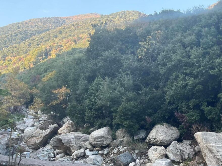 Θεσσαλονίκη: Μυστήριο παραμένει ο θάνατος του 51χρονου που έφερε τραύμα από αλυσοπρίονο - Ψάχνουν την εμπλοκή του 59χρονου