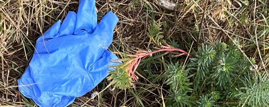 Θεσσαλονίκη: Μυστήριο παραμένει ο θάνατος του 51χρονου που έφερε τραύμα από αλυσοπρίονο - Ψάχνουν την εμπλοκή του 59χρονου