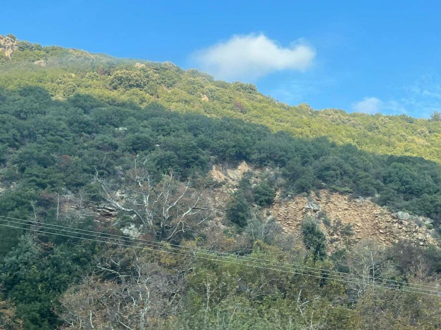 Θεσσαλονίκη: Μυστήριο παραμένει ο θάνατος του 51χρονου που έφερε τραύμα από αλυσοπρίονο - Ψάχνουν την εμπλοκή του 59χρονου