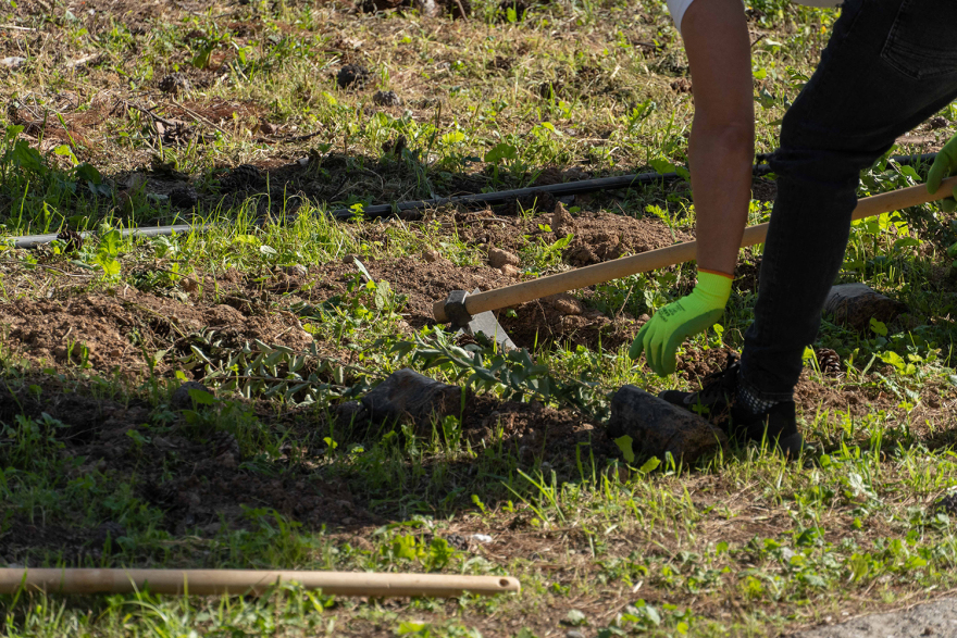 Citizen Day 2022: 250 εργαζόμενοι της L'ORÉAL Hellas έφεραν χαρά στο Γηροκομείο Αθηνών