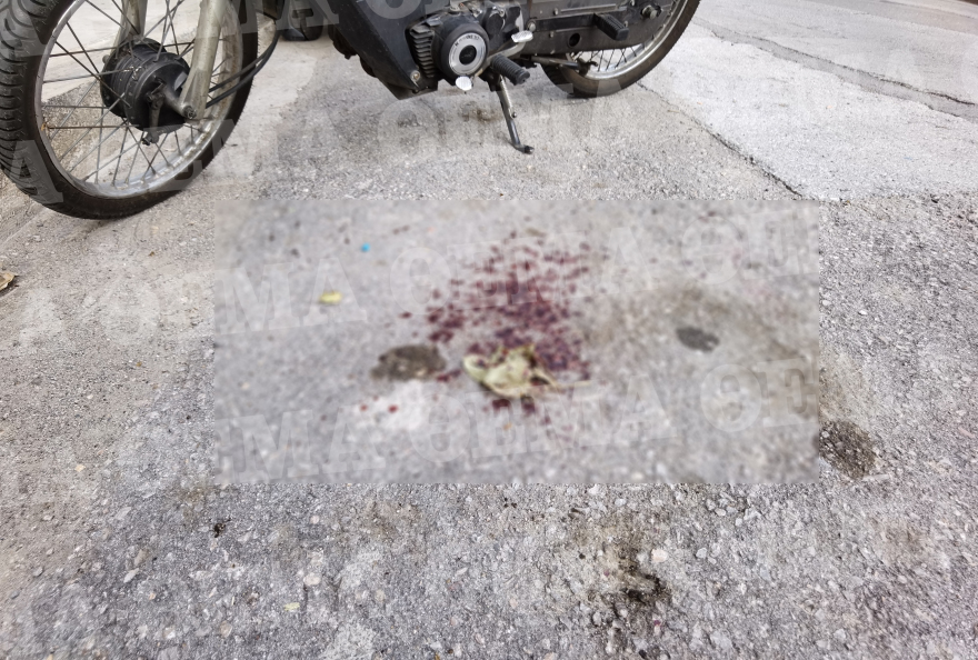 Άγιος Παντελεήμονας: Αλγερινός μαχαίρωσε δύο ομοεθνείς του - «Είχε παντού μαχαιριές» λέει φαρμακοποιός 