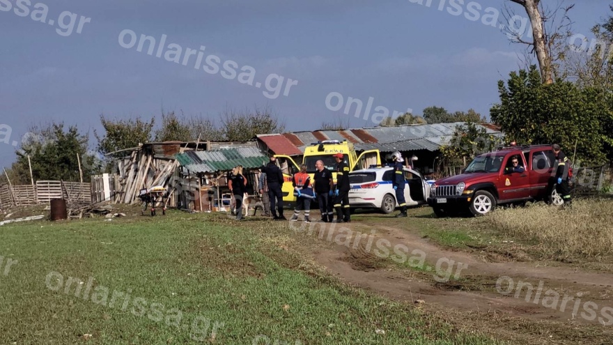 Λάρισα: Τραγικός θάνατος 78χρονης από πτώση δέντρου