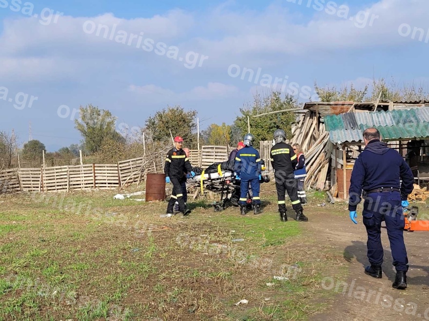 Λάρισα: Τραγικός θάνατος 78χρονης από πτώση δέντρου