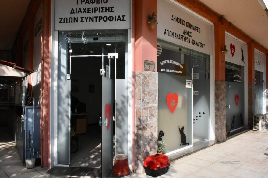 Καματερό: Πάνω από 1.000 αδέσποτα ζώα έχουν βοηθηθεί στο πρώτο Δημοτικό Κτηνιατρείο της Ελλάδας