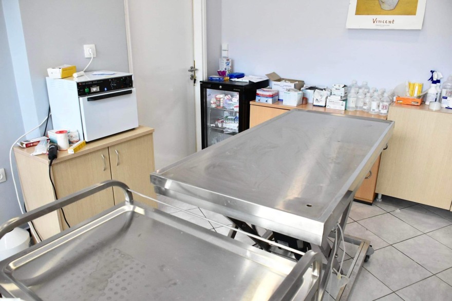 Καματερό: Πάνω από 1.000 αδέσποτα ζώα έχουν βοηθηθεί στο πρώτο Δημοτικό Κτηνιατρείο της Ελλάδας