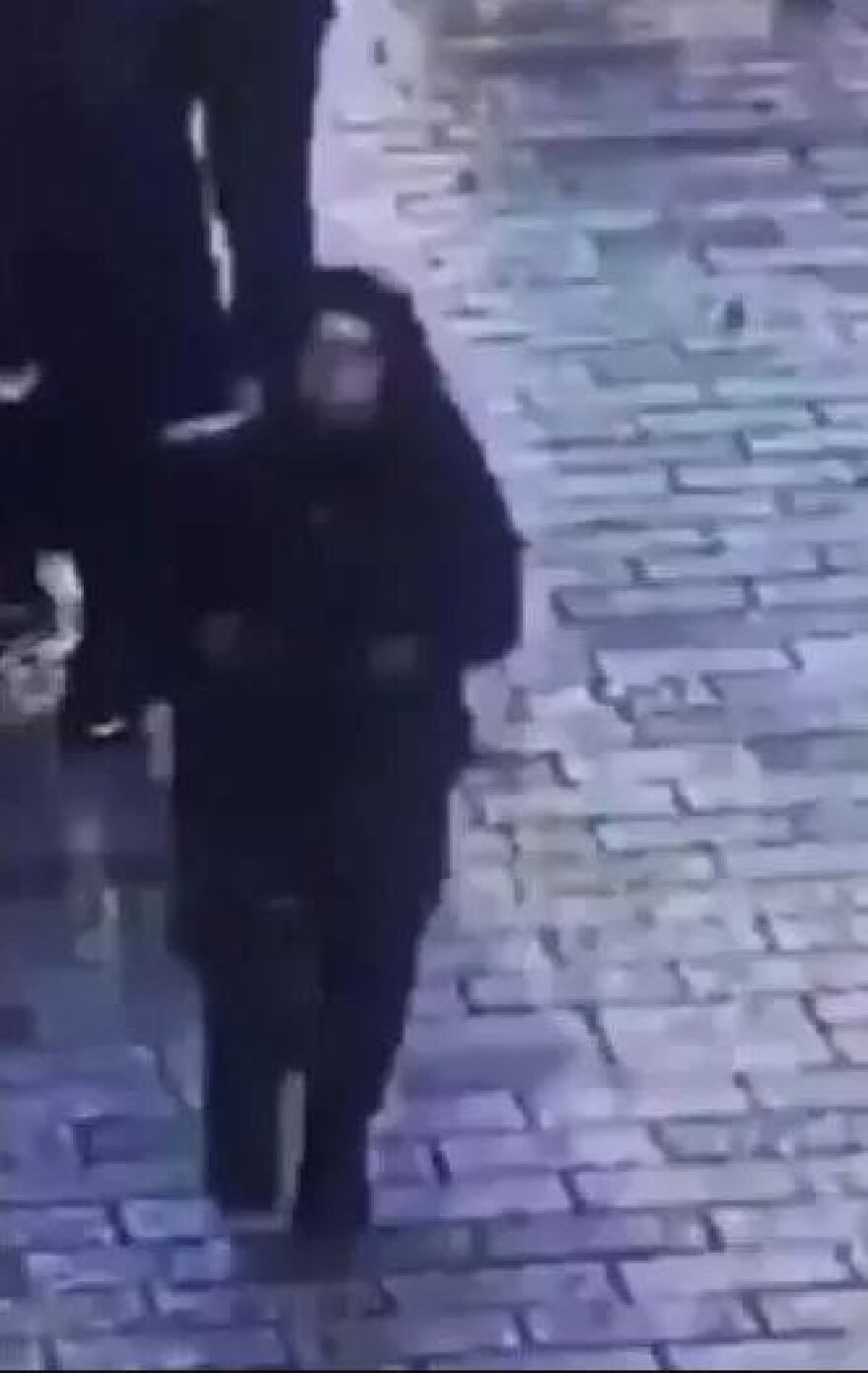 Έκρηξη στην Κωνσταντινούπολη: Η στιγμή της σύλληψης της ύποπτης για την βόμβα