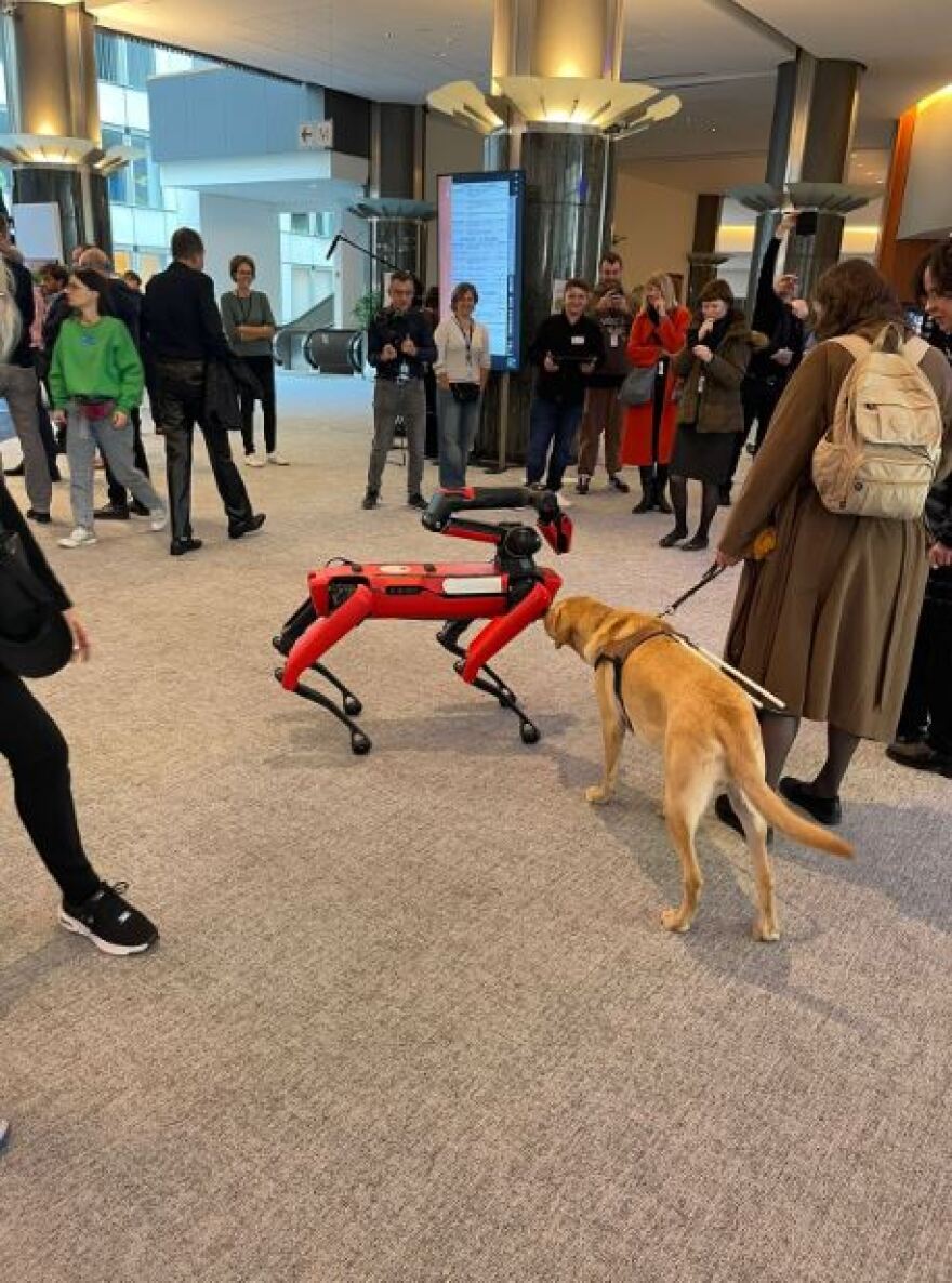 Εύα Καϊλή: H εβδομάδα καινοτομίας στο Ευρωκοινοβούλιο, ο Άστον Κούτσερ και η βασίλισσα του Βελγίου