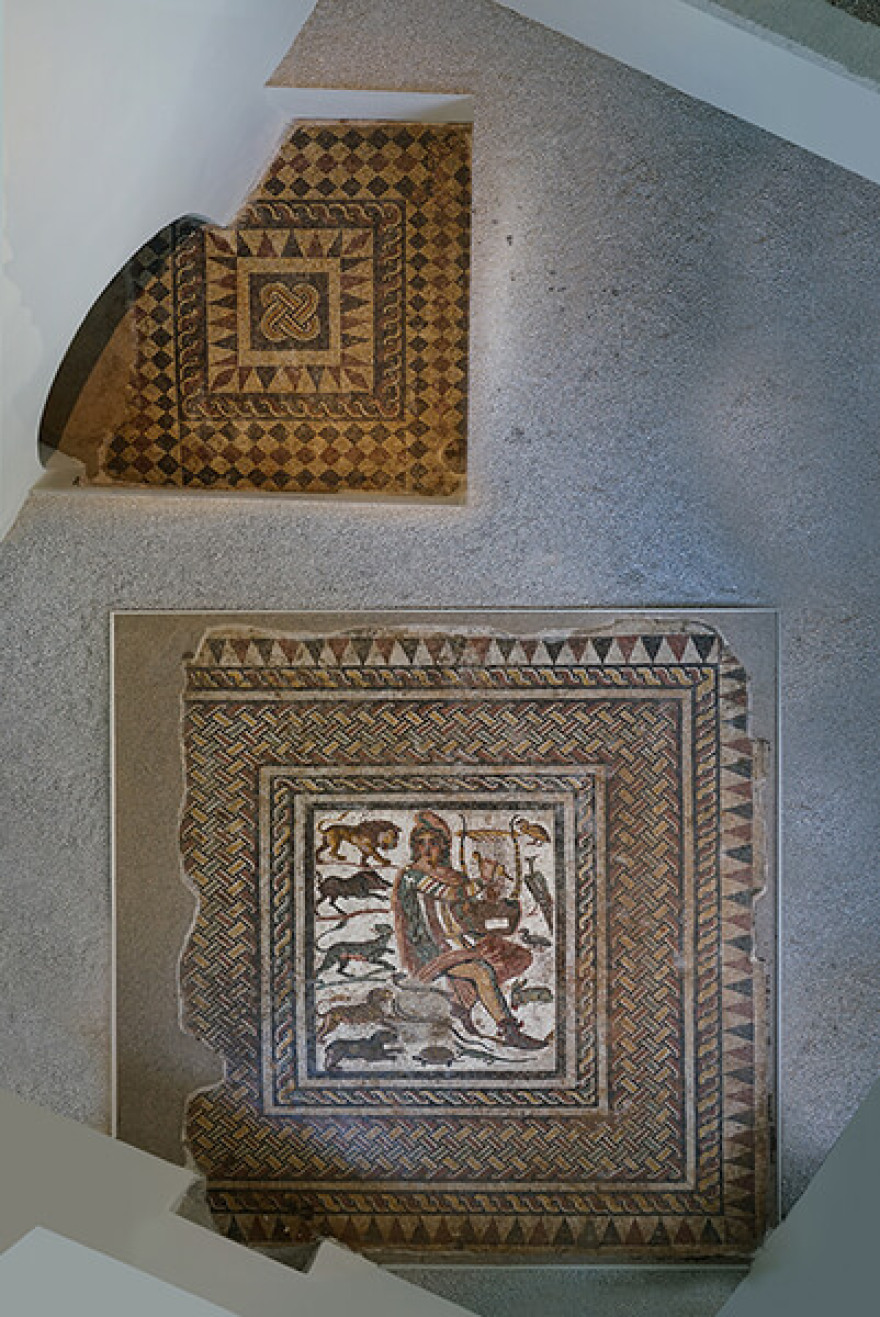 «Οικία των Ψηφιδωτών» στη Σπάρτη – Το όραμα του Γιάννη Βαρβιτσιώτη έγινε πραγματικότητα