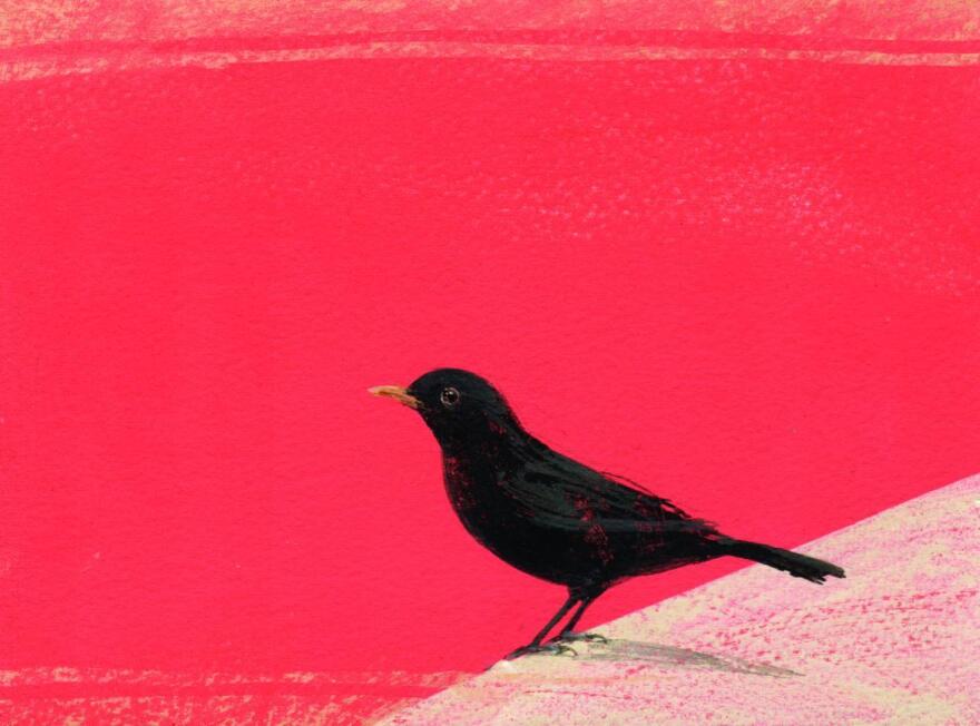 Φωτεινή Στεφανίδη: Παρουσιάζει τη νέα της έκθεση ζωγραφικής στην Αθήνα