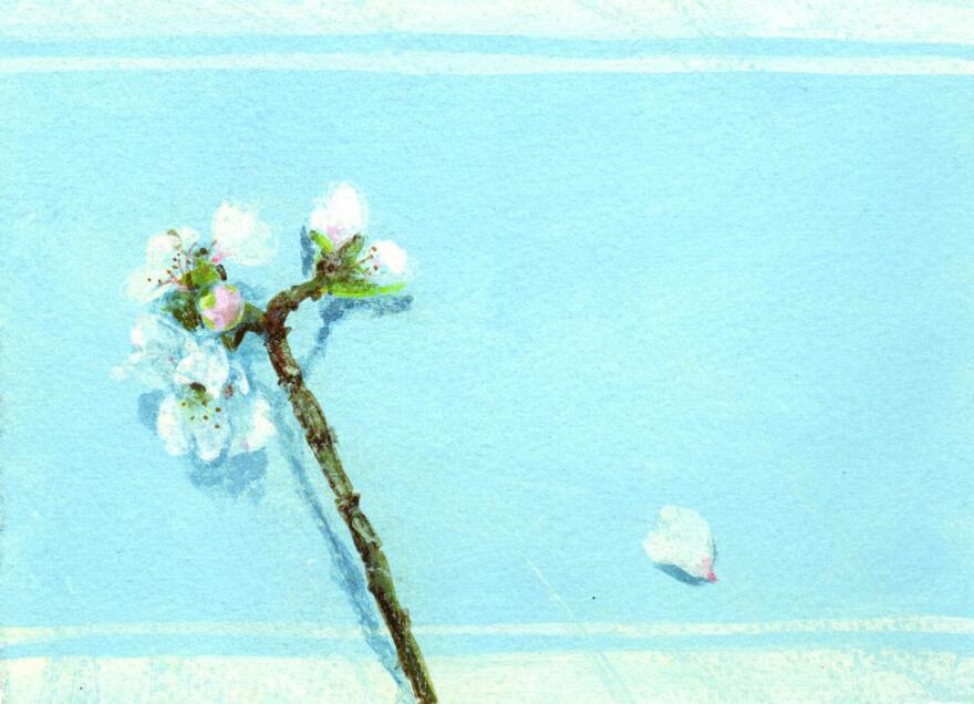 Φωτεινή Στεφανίδη: Παρουσιάζει τη νέα της έκθεση ζωγραφικής στην Αθήνα