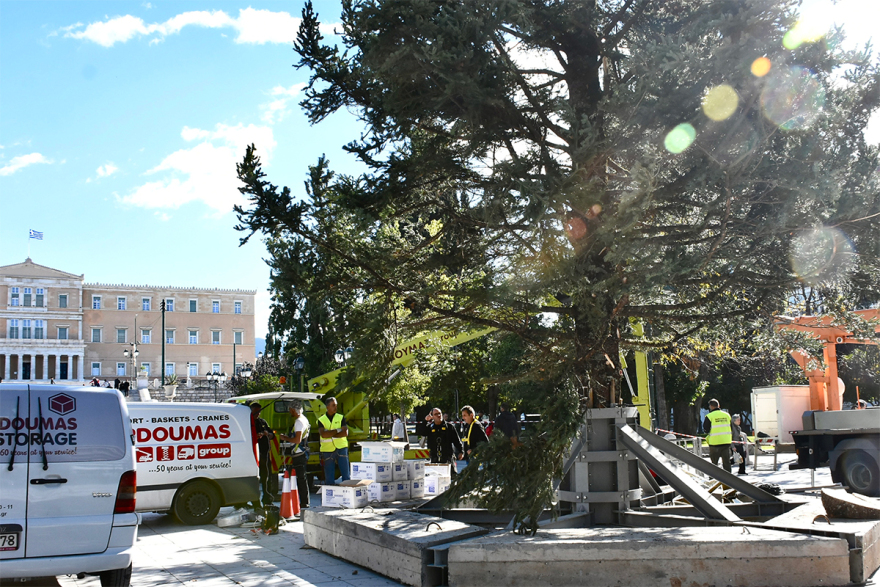 Στήθηκε το χριστουγεννιάτικο δέντρο στην πλατεία Συντάγματος – Δείτε φωτογραφίες