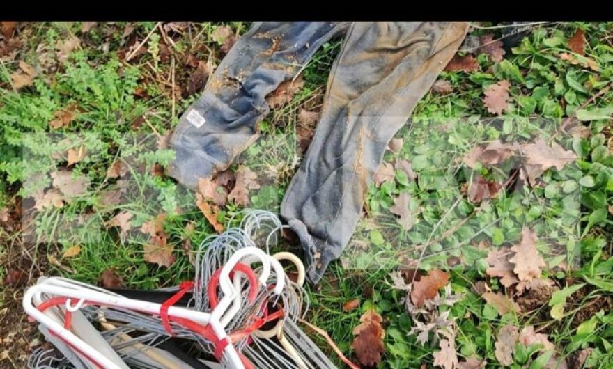 Κιβωτός του Κόσμου: Γρίφος ο πραγματικός αριθμός των παιδιών - Εμφανίζονταν πιθανόν πολύ περισσότερα στις λίστες