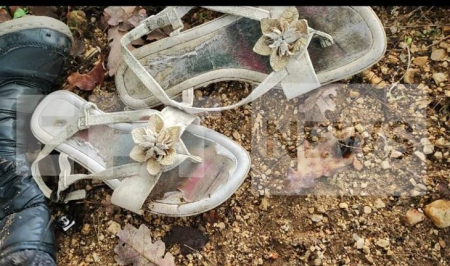 Κιβωτός του Κόσμου: Γρίφος ο πραγματικός αριθμός των παιδιών - Εμφανίζονταν πιθανόν πολύ περισσότερα στις λίστες