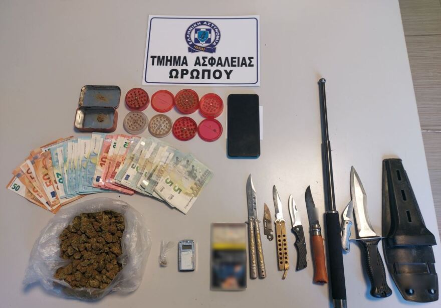 Συνελήφθη 14χρονος που βρέθηκαν στο σπίτι του 7 μαχαίρια