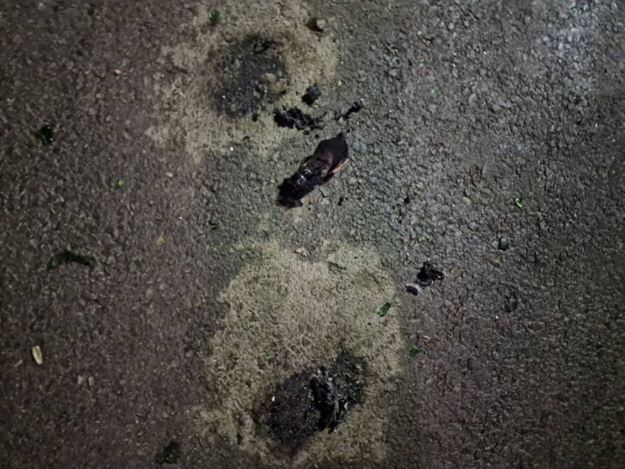 Θεσσαλονίκη: Ρομά επιτέθηκαν με μολότοφ στο κτίριο της Οικονομικής Αστυνομίας - Δείτε βίντεο