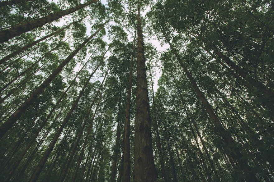Tetra Pak: Συνεργασίες με στόχο την κυκλική οικονομία και όχημα την ανακύκλωση